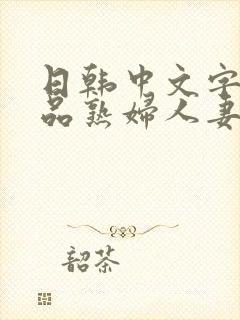 日韩中文字幕精品熟妇人妻