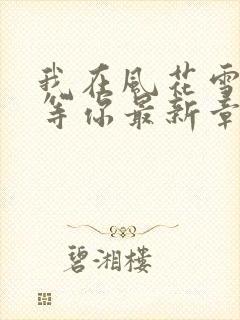 我在风花雪月里等你最新章节