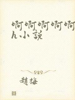 啊啊啊啊啊啊啊h小说封面