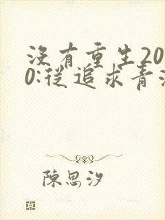 没有重生2000:从追求青涩校花同桌开始小说