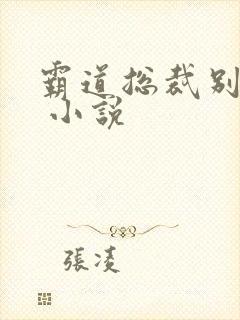 霸道总裁别太坏 小说