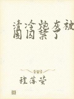 清冷炮灰被主角团囚禁了封面