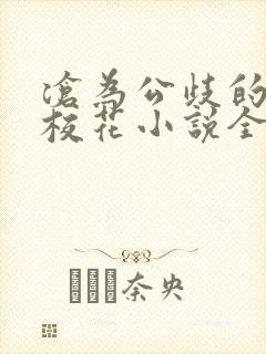 沧为公歧的清纯校花小说全文在线阅