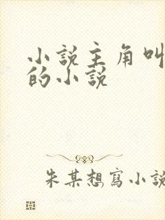 小说主角叫林羽的小说