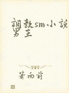 调教sm小说双男主