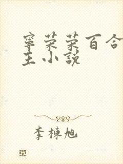 宁荣荣百合双女主小说