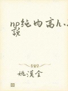 np纯肉高h小说封面