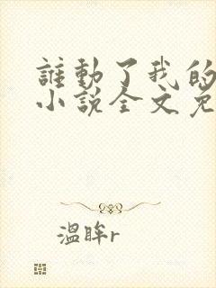 谁动了我的老婆小说全文免费阅读一