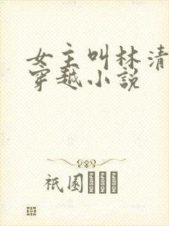 女主叫林清荷的穿越小说