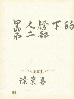 黑人胯下的娇妻第二部封面