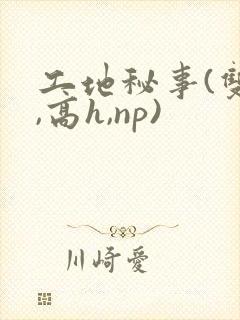 工地秘事(双性,高h,np)