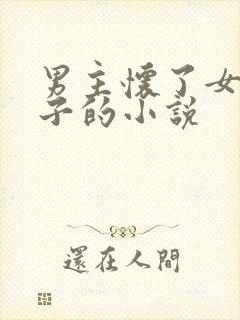 男主怀了女主孩子的小说