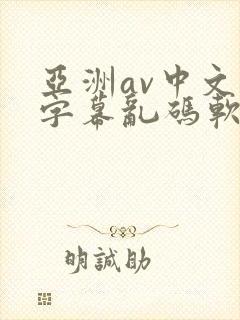 亚洲av中文字字幕乱码软件