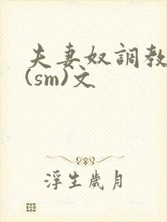 夫妻奴调教生活(sm)文