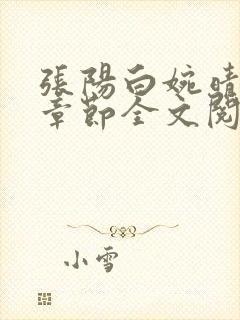 张阳白婉晴小说章节全文阅读