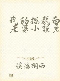 我的总裁白富美老婆小说免费讲述