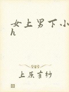 女上男下小说高h