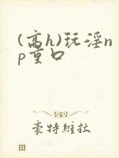 (高h)玩淫np重口
