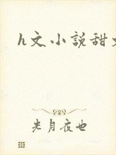 h文小说甜文