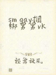 sm gay捆绑男男vk封面