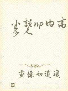 小说np肉高h多人