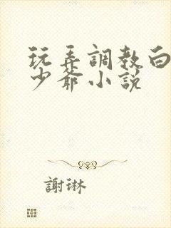 玩弄调教白嫩小少爷小说封面