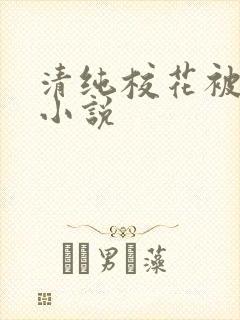 清纯校花被后入小说