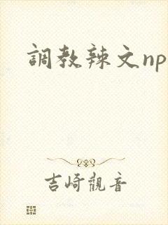 调教辣文np