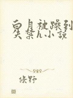 白月被躁到高潮失禁h小说