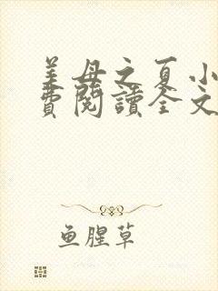 美母之夏小说免费阅读全文最新章节