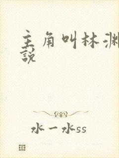 主角叫林渊的小说