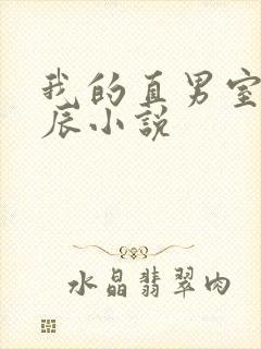 我的直男室友张辰小说