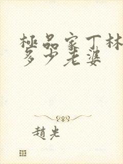 极品家丁林三有多少老婆