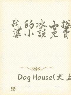 我的冰山总裁老婆小说免费完整版