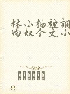 林小柚被调教成肉奴全文小说