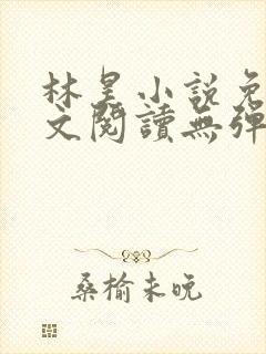林昊小说免费全文阅读无弹窗