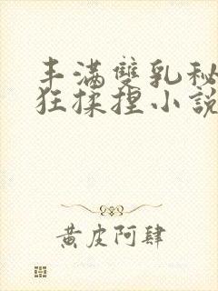 丰满双乳秘书被狂揉捏小说