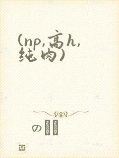 (np,高h,纯肉)