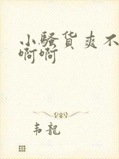 小骚货爽不爽啊啊啊封面