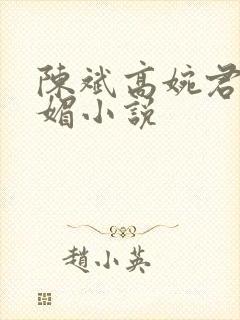 陈斌高婉君赵心媚小说封面