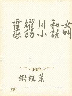 霍耀川和女主网恋的小说叫什么名字