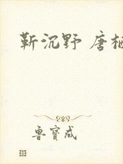 靳沉野 唐栖雾