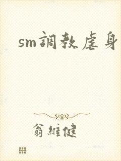 sm调教虐身文