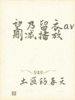 望乃留衣av无删减播放