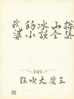 我的冰山总裁老婆小说全集