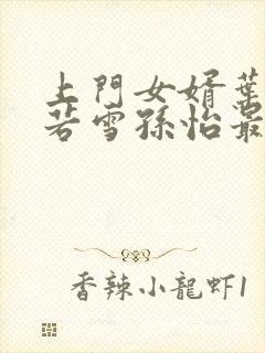 上门女婿叶辰夏若雪孙怡最新章节