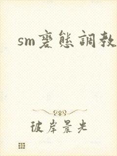 sm变态调教文封面