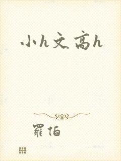 小h文高h