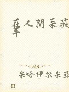 在人间采薇陆三平