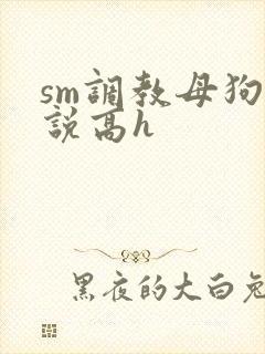 sm调教母狗小说高h